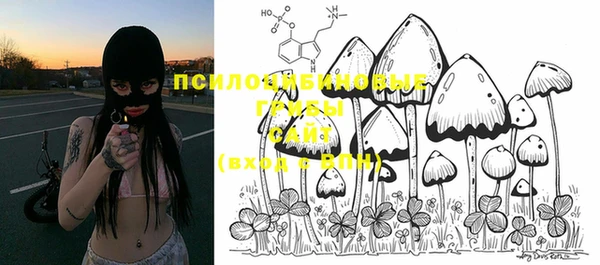 PSILOCYBIN Алексин